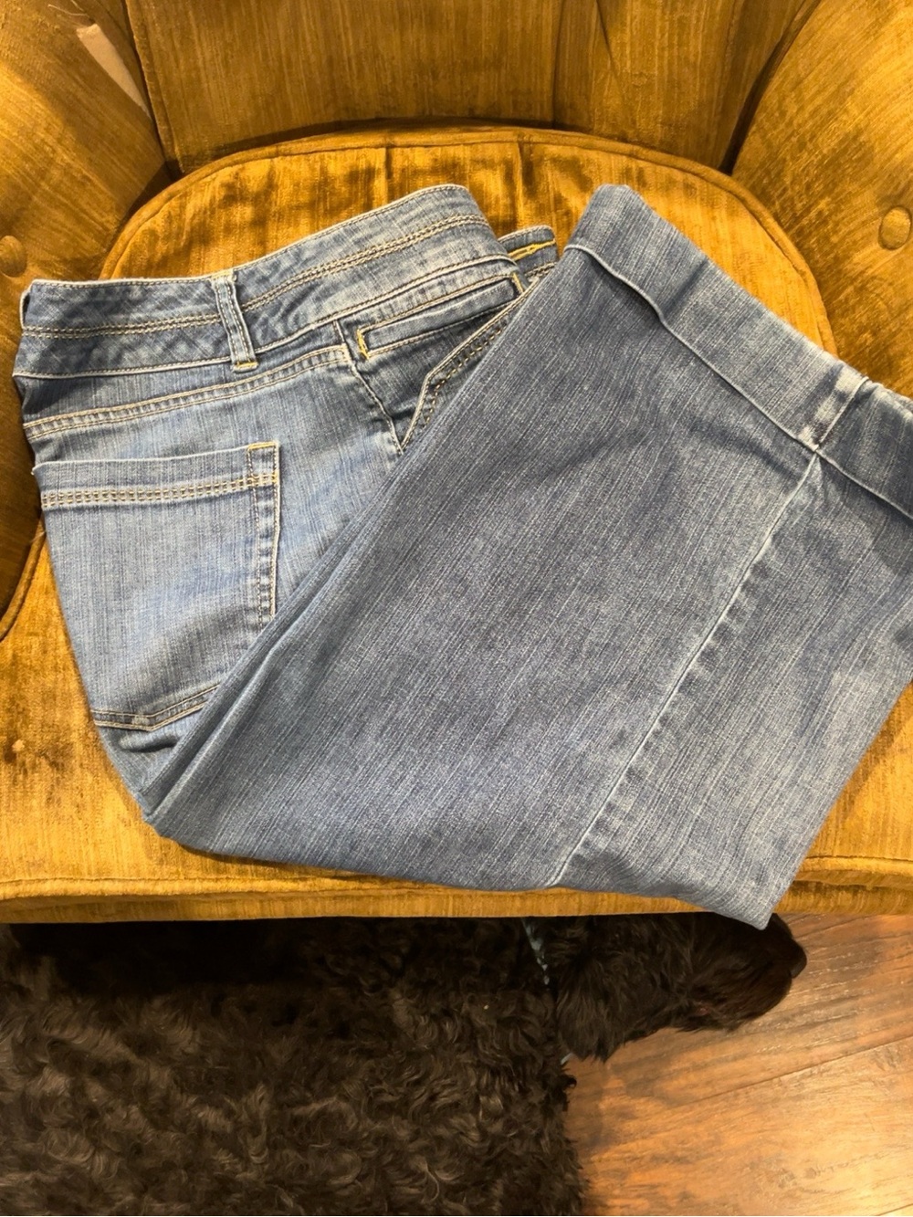 White House Black Market Light Blue Cropped Jeans
